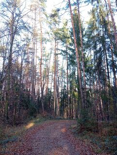 Foto von Stephane Cappellaro entlang der Tour