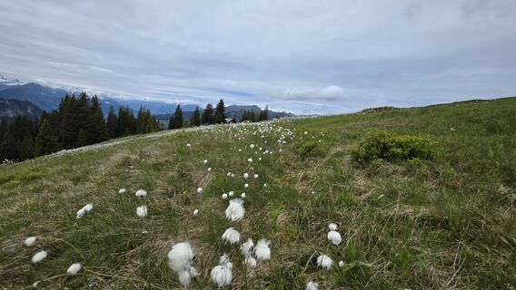 Foto von Matteo Allegri entlang der Tour
