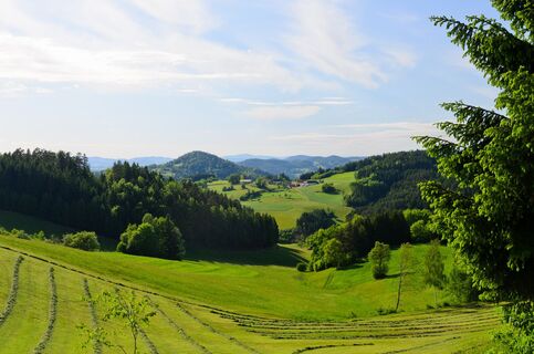Ausblick in die Natur