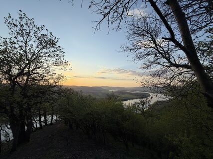 Fotografia z Németh Dominik na trase