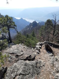 Fotografija s spletne strani Lenzling Kaufmann na poti