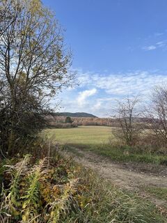 Fotografia z Vicaliza na trase