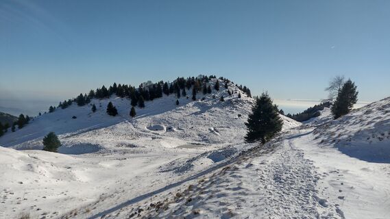 Fotografija s spletne strani oscarpette82 na poti