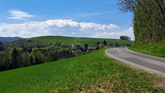 Foto von Roland Meitz entlang der Tour