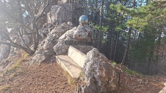 Zdjęcie z Regina Fleischmann wzdłuż trasy