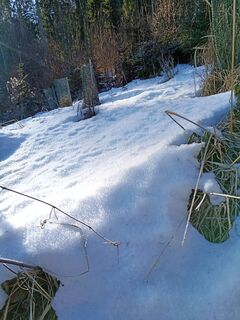 Photo de Wanderkatze le long du parcours