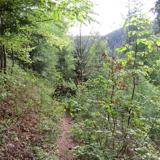 Zickzack-Pfad ins Nagoldtal