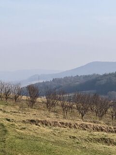 Photo de Barbara Schober le long du parcours