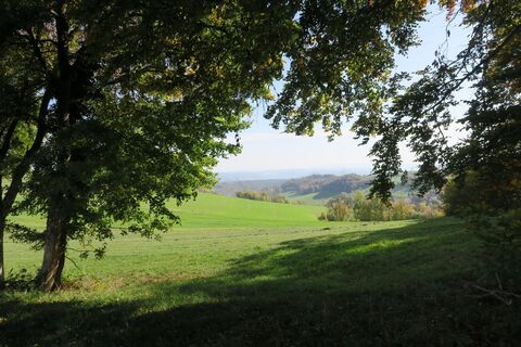 H chenschwand 2