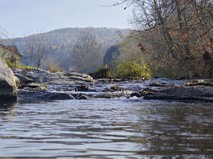 Foto von Sabine entlang der Tour