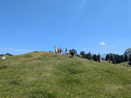 Foto von mtmc entlang der Tour