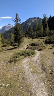 Fotografia z su_dieter na trase