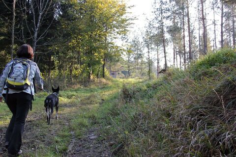 Kleeblattwanderweg Nr. 2 - auch mit Hund!