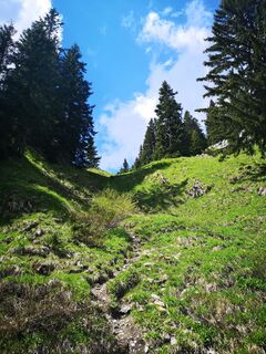 Foto von se_muck entlang der Tour