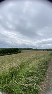 Fotografia z tikayler na trase