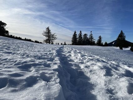 Photo from Gerald along the tour