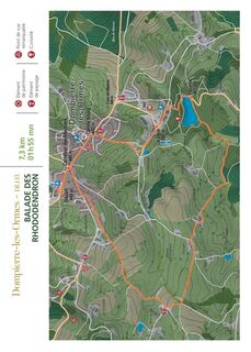 Carte circuit DLO3