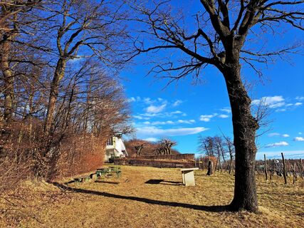 Foto de Walter Köllner a lo largo del recorrido