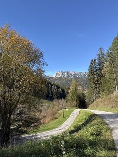 Fotografia z Andreas Vogel 1 na trase