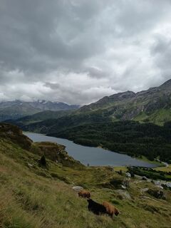 Foto von Aner entlang der Tour
