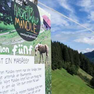 Station fünf des Haspelwaldwegs