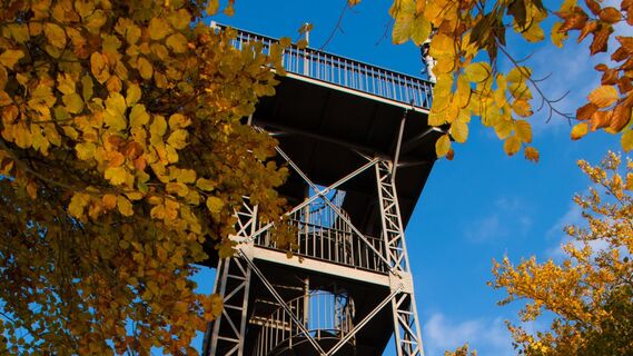Aussichtsturm Kuckholzklippe