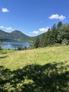 Fotografija s spletne strani Lea Docekal na poti