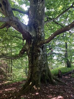 Fotografie z Burgim65 na trase