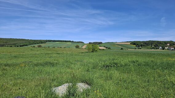 Фото с сайта Hubert Sellnar во время экскурсии