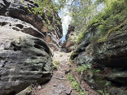 Foto de Norbert Herbig a lo largo del recorrido