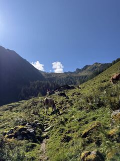 Fotografie z HighKing na trase