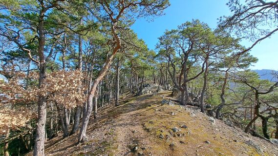 Foto von Frau Gramurli entlang der Tour