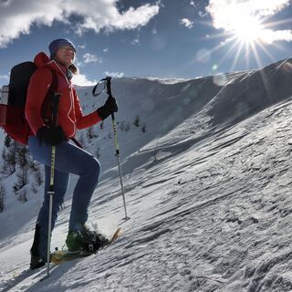 Aufstieg zur Grünleitenscharte