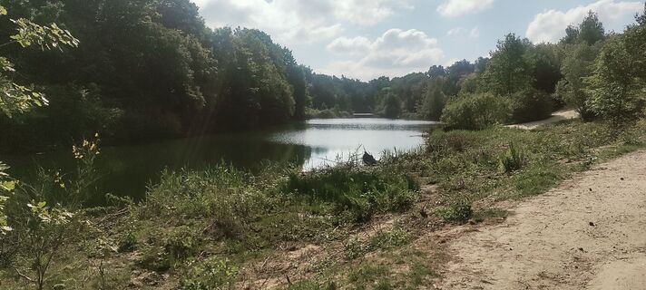 Fotografija s spletne strani Niek Werf na poti