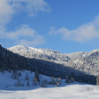 Herzogenhorn von Menzenschwand Hinterdorf