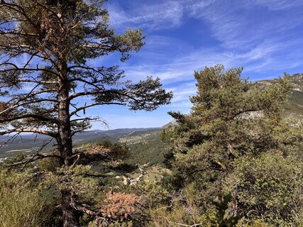 Photo de Andrea Loew le long du parcours