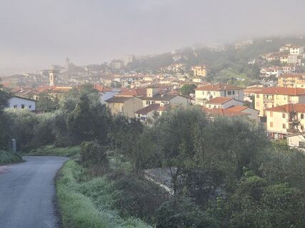 Photo de Thomi W le long du parcours