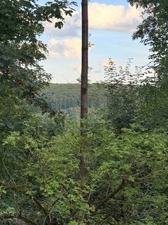 Zdjęcie z M2504 wzdłuż trasy