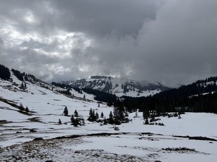 Foto von Sabine Bauch entlang der Tour