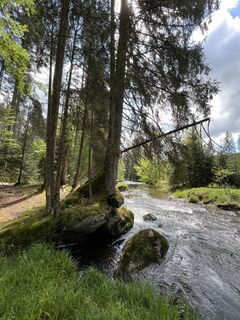 Foto von Volki F. entlang der Tour