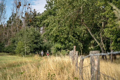 Drover Heide