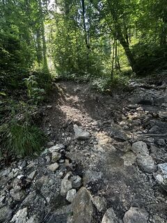 Foto de Katrin Rupprecht a lo largo del recorrido