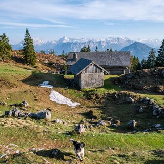 Inzell Gamsknogel Kohleralm Wandertour
