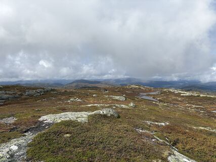 Foto fra Jako Koel undervejs på turen