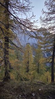 Photo de Klementina Gartner le long du parcours