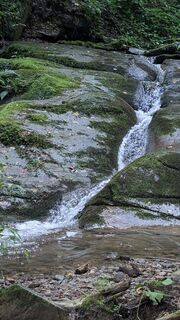 Fotografija s spletne strani Jele Hannes na poti
