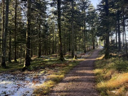 Fotografija s spletne strani Nico Eisner na poti