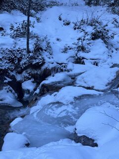 Photo de Linda Bauer le long du parcours