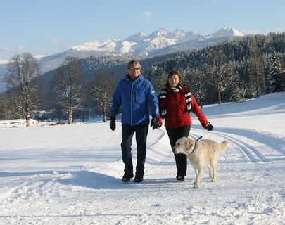 Winterwandern in Ramsau am Dachstein
