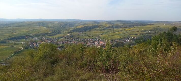 Фото с сайта Office во время экскурсии